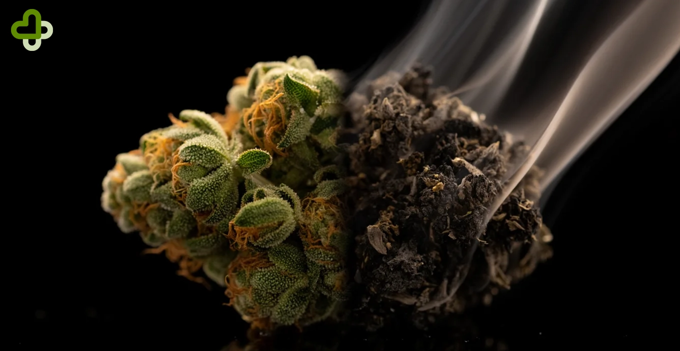 Шишка каннабиса крупным планом с дымом